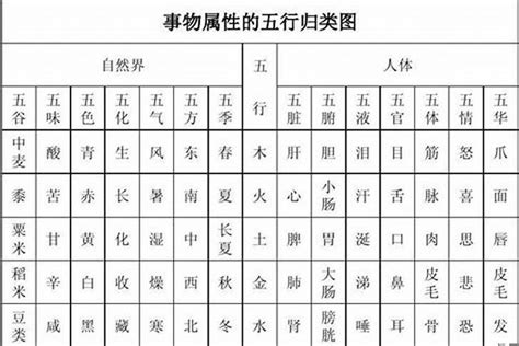 英文字 五行|【英文字母與五行屬性】英文字母五行對照法The 